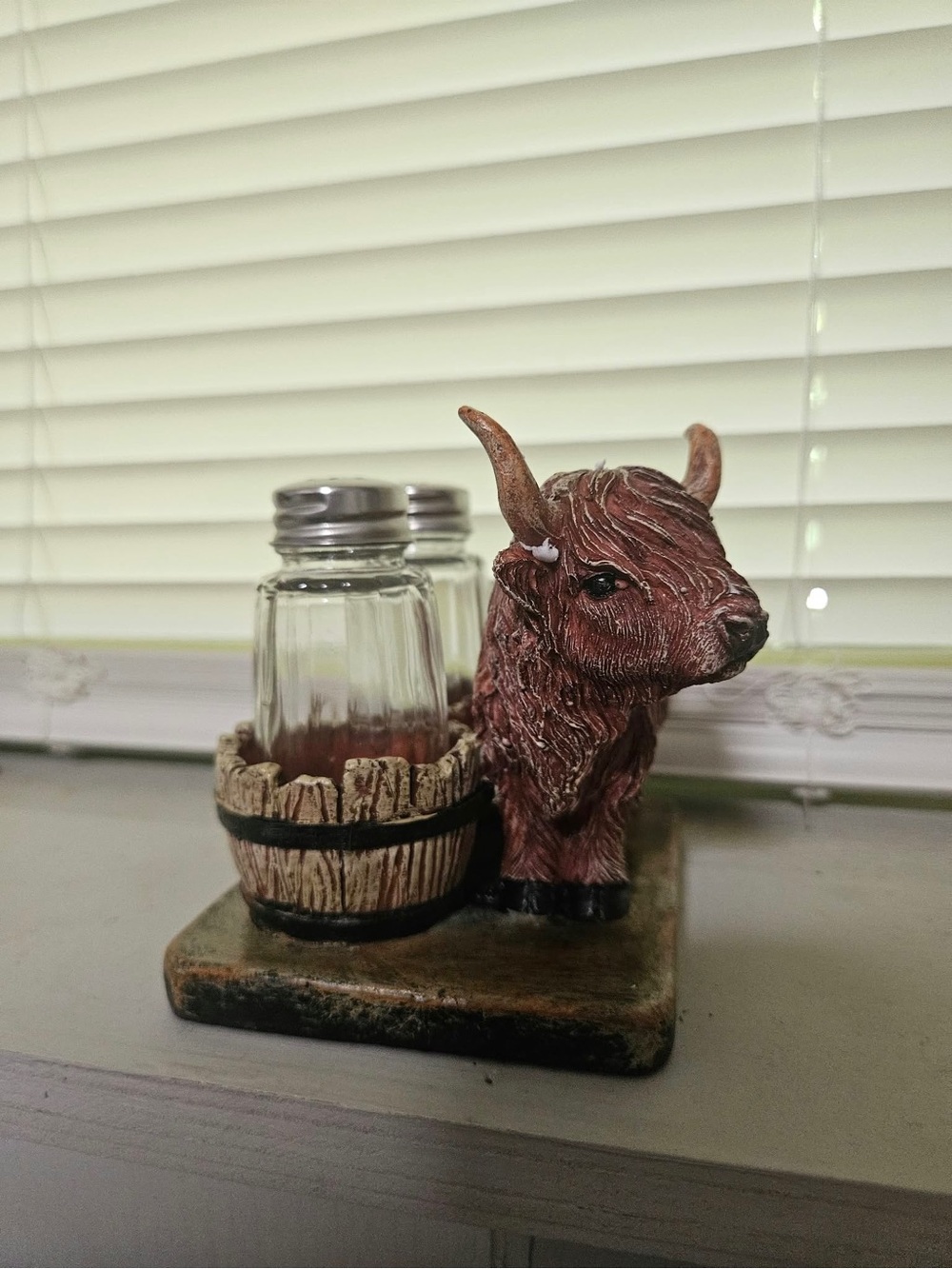 Rustic Brown Buffalo Salt and Pepper Shaker Set - Home Accents